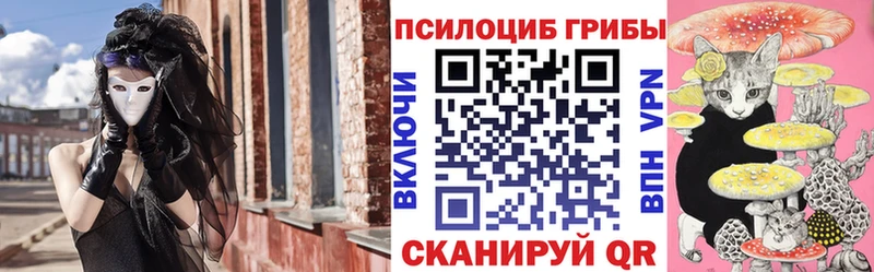 Псилоцибиновые грибы Psilocybe  где продают наркотики  Котлас 