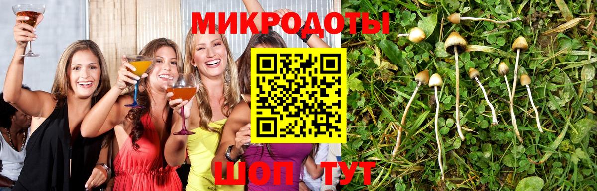 Псилоцибиновые грибы мухоморы  купить наркоту  Котлас  Галлюциногенные грибы прущие грибы  Вход с VPN 